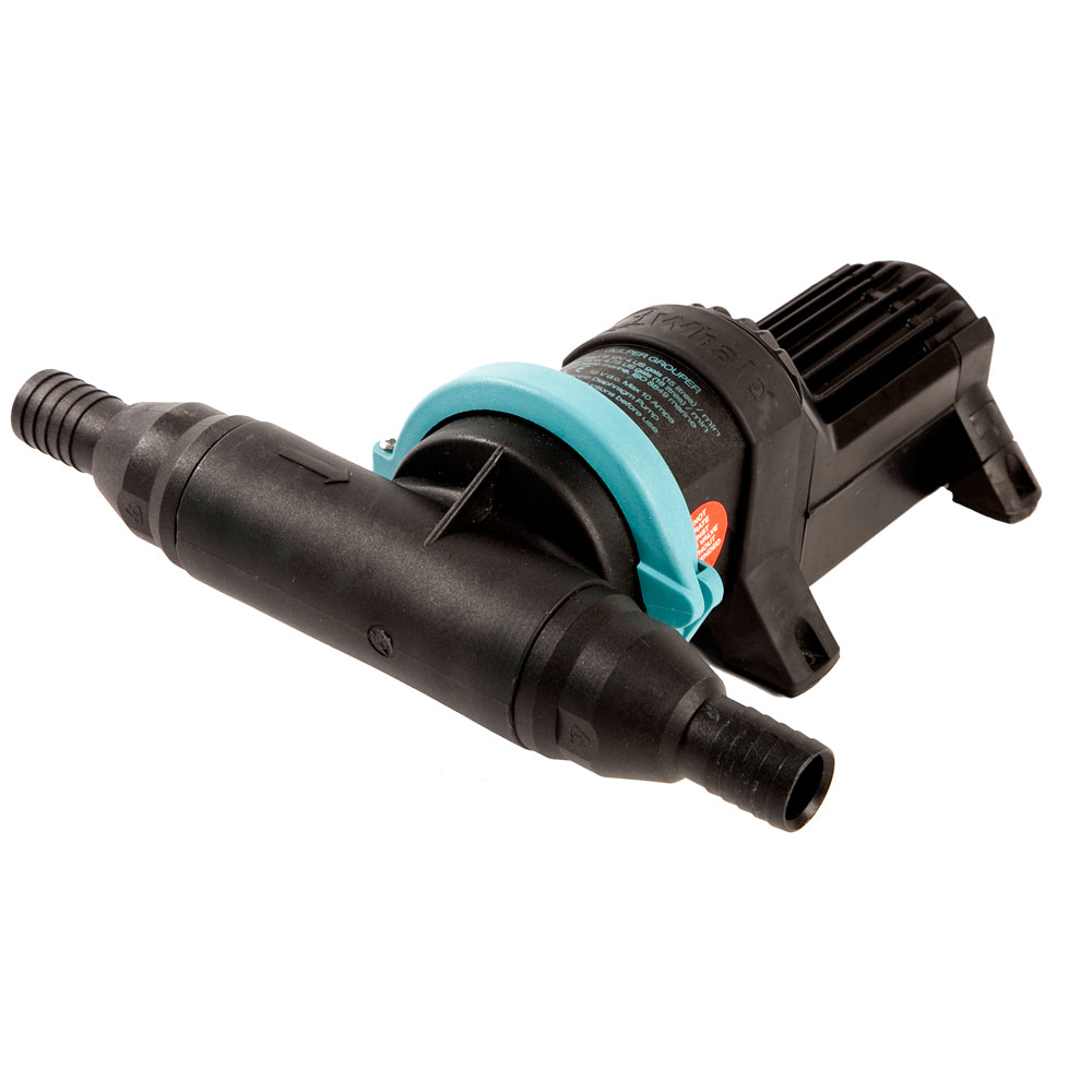 Whale Gulper Grouper Fishbox Evacuation Pump