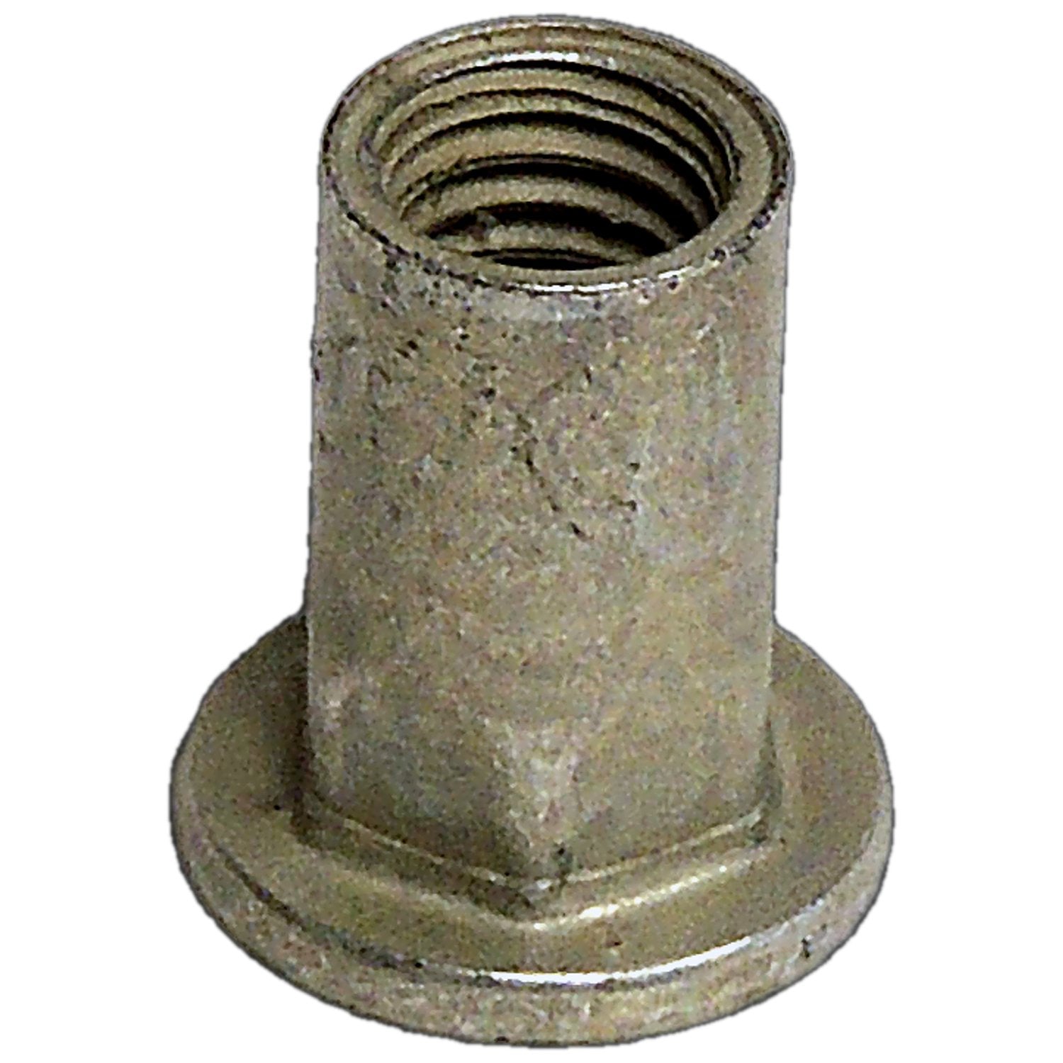 NUT