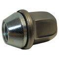 LUG NUT