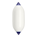 Polyform F-11 Twin Eye Fender X