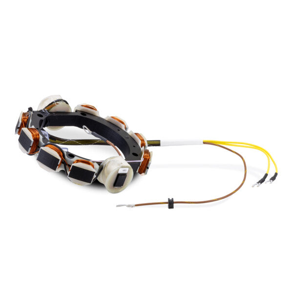 Johnson Evinrude Stator - 2 Cyl. (6 Amp)
