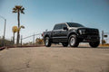 D29-S1