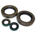 OIL SEAL KIT