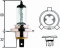 Bulb 24V 100/90W P43T T4.