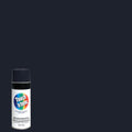 10OZ Paint Flat Black