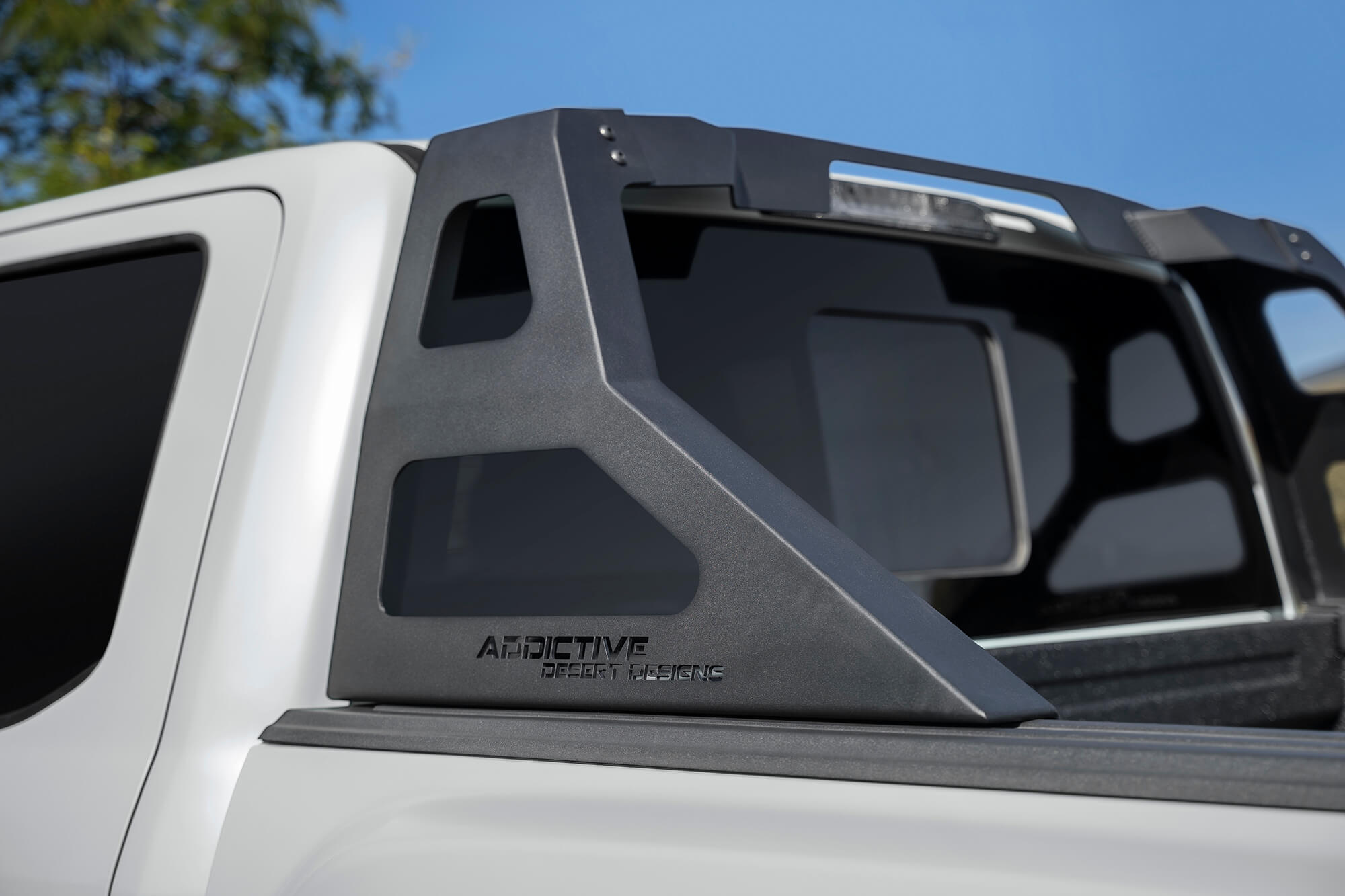2015 - 2023 Ford F-150/Raptor Stealth Fighter Chase Rack