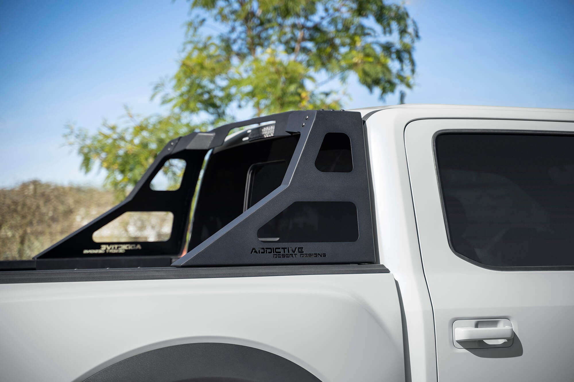 2015 - 2023 Ford F-150/Raptor Stealth Fighter Chase Rack