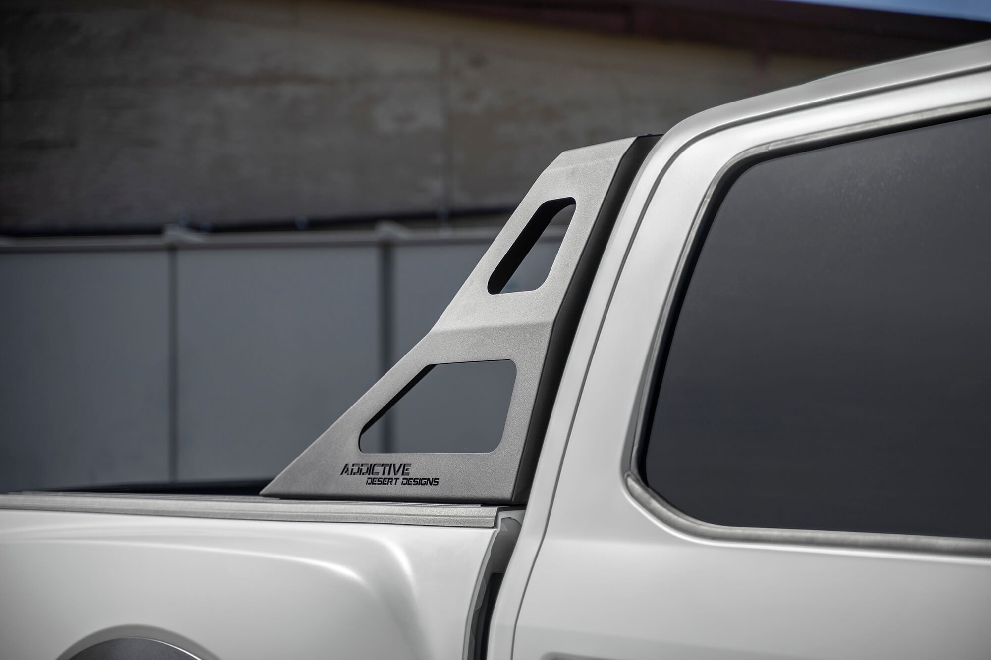 2015 - 2023 Ford F-150/Raptor Stealth Fighter Chase Rack