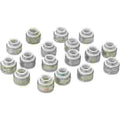 Valve Stem Seals SET-16