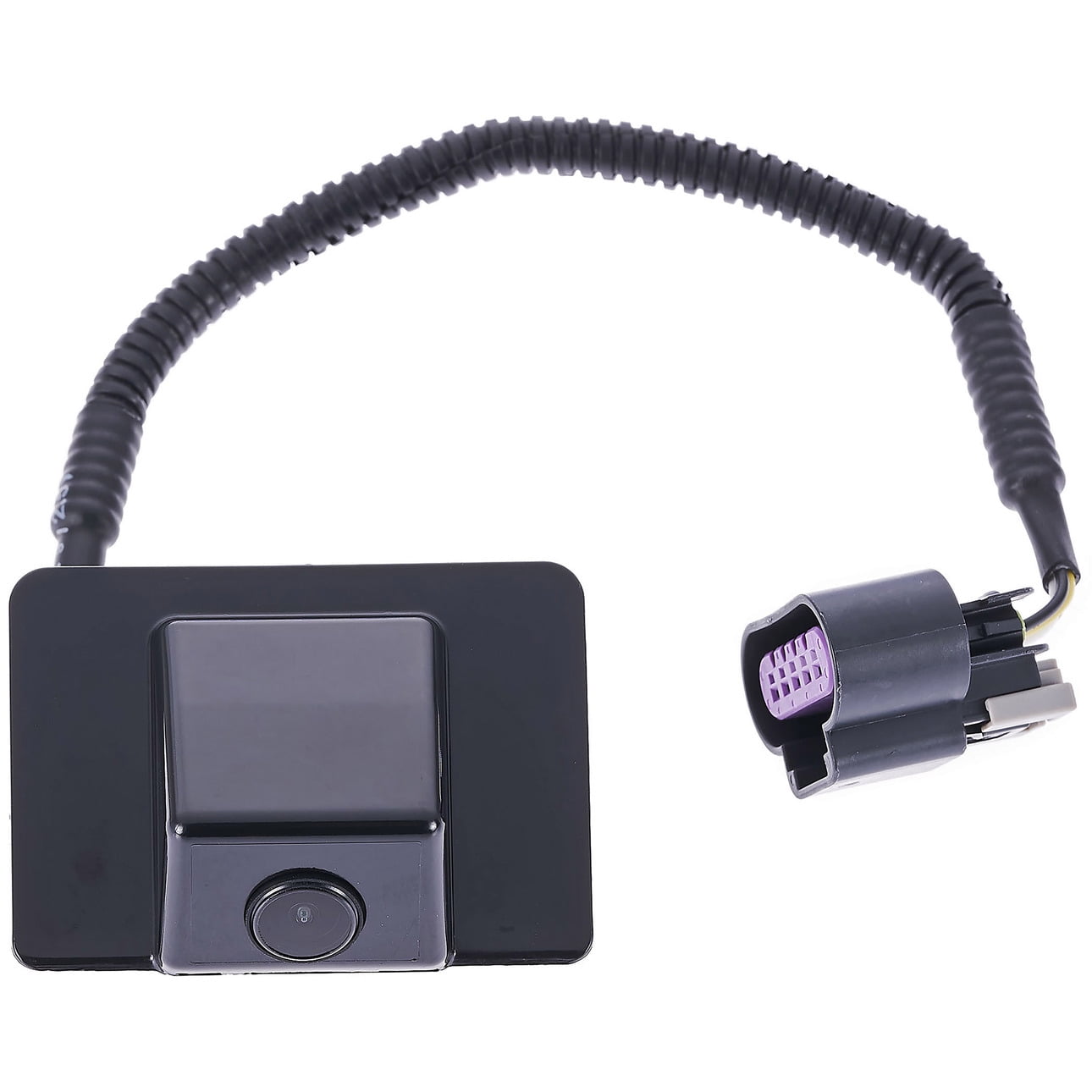 Park Assist Camera