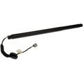 Trunk/Liftgate Motor