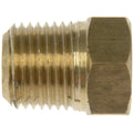 Pipe Plug 1/2