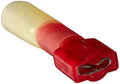 Term Fi Qd Wp 2218 F