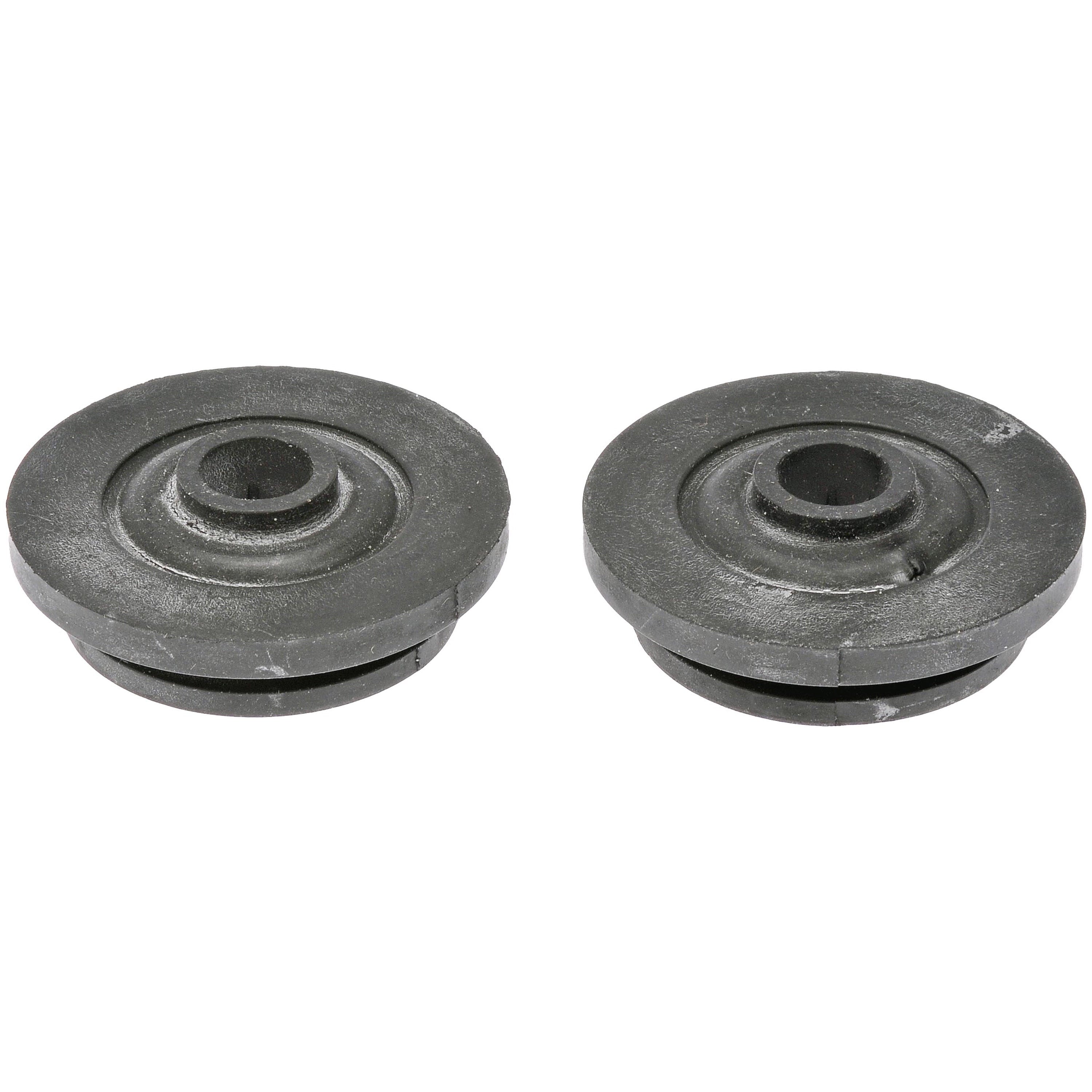 Rad Mount Bushing