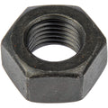 Hex Nut