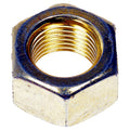 Hex Nut