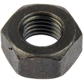 Hex Nut