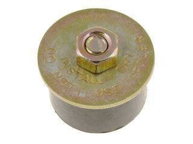 Exp Plg Rbbr E.t. 1 1/4'