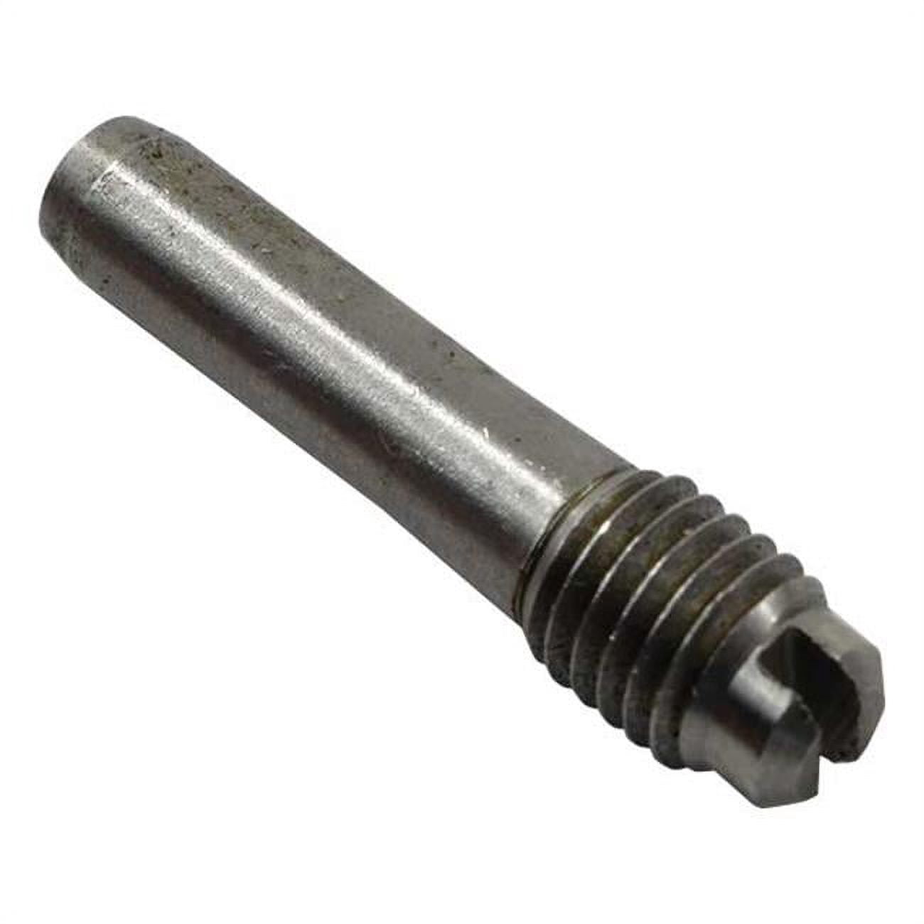 Screw