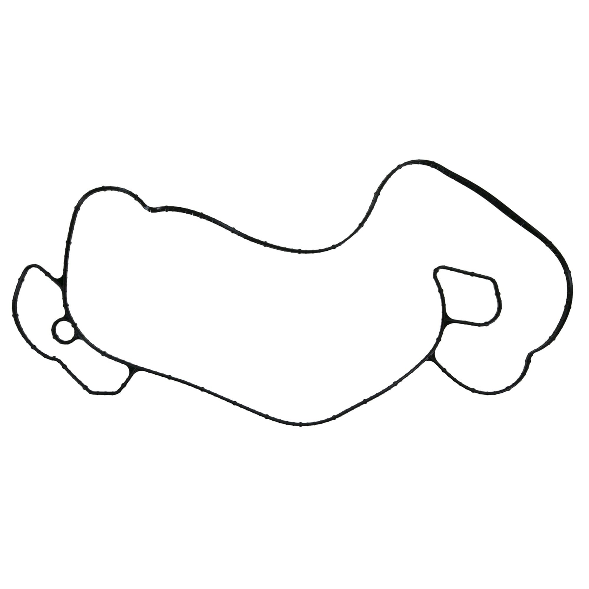 Water Pump Gasket