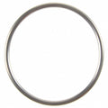Exhaust Pipe Gasket