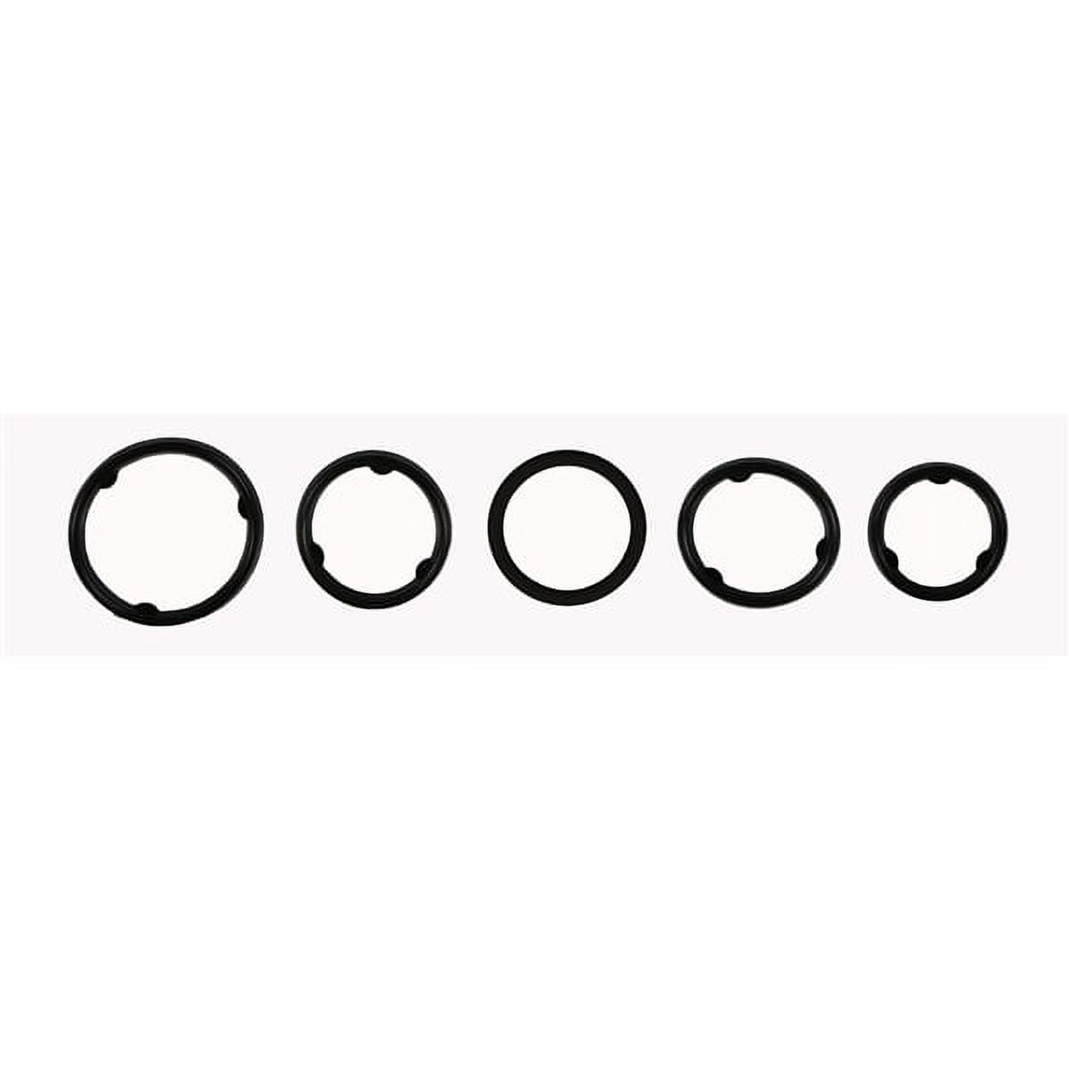 Oil Cooler Gasket