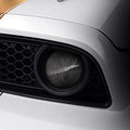 Fog LT Cvr PR Z06 Mdl Crb
