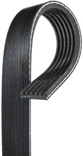 V-Ribbed Belt