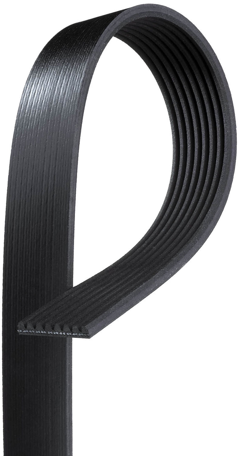 V-Ribbed Belt