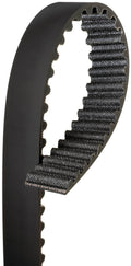 Timing Belt