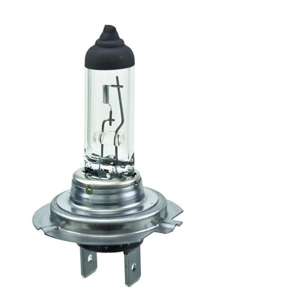 Bulb 12V 55W PX26D T4.625