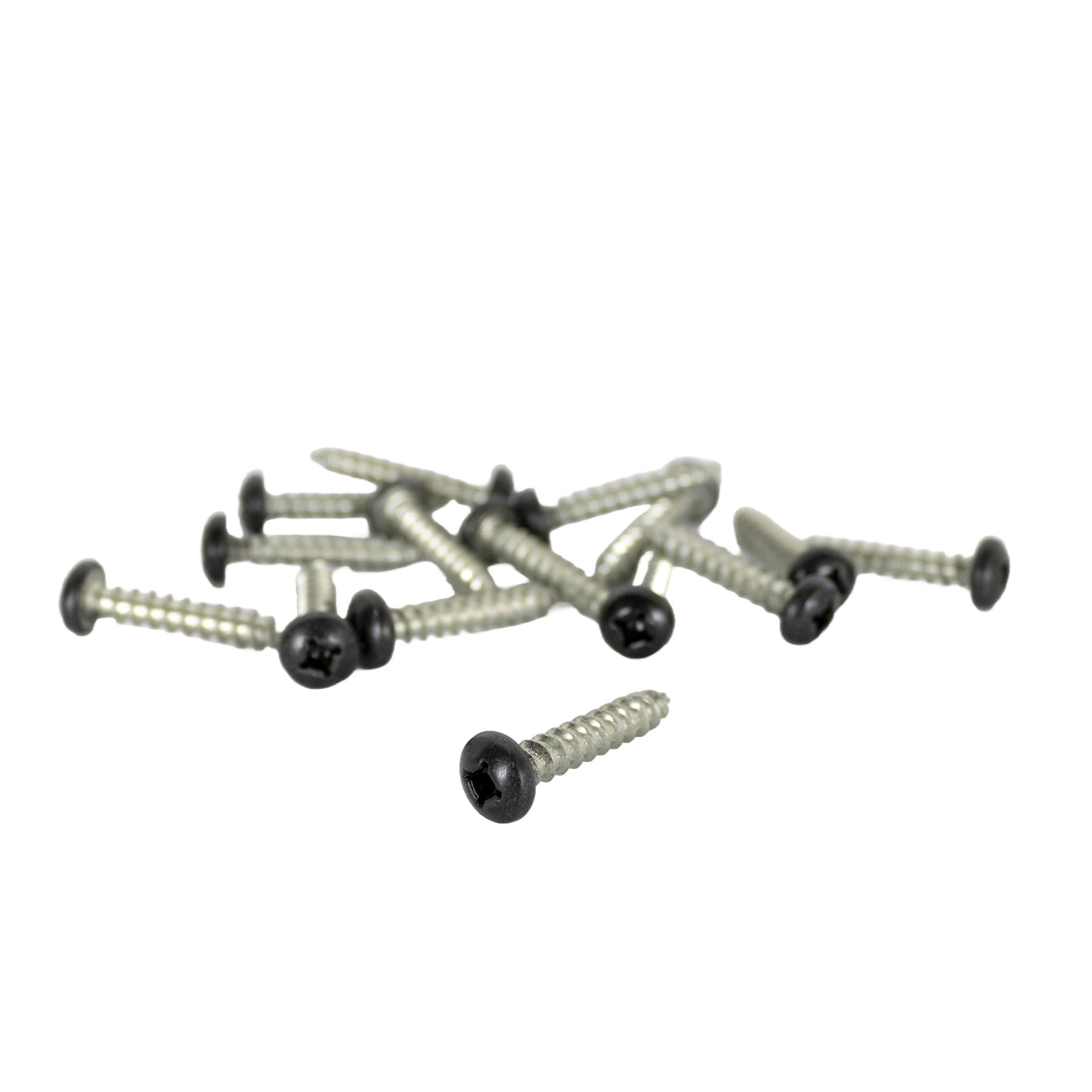 Screws  Qty 15  Painted  Fender Ins