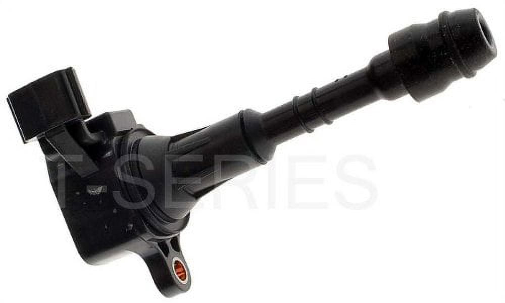 Tseries Coil on Plug