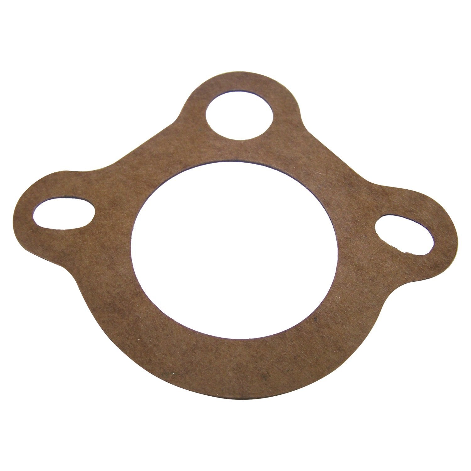 THERMOSTAT GSKT