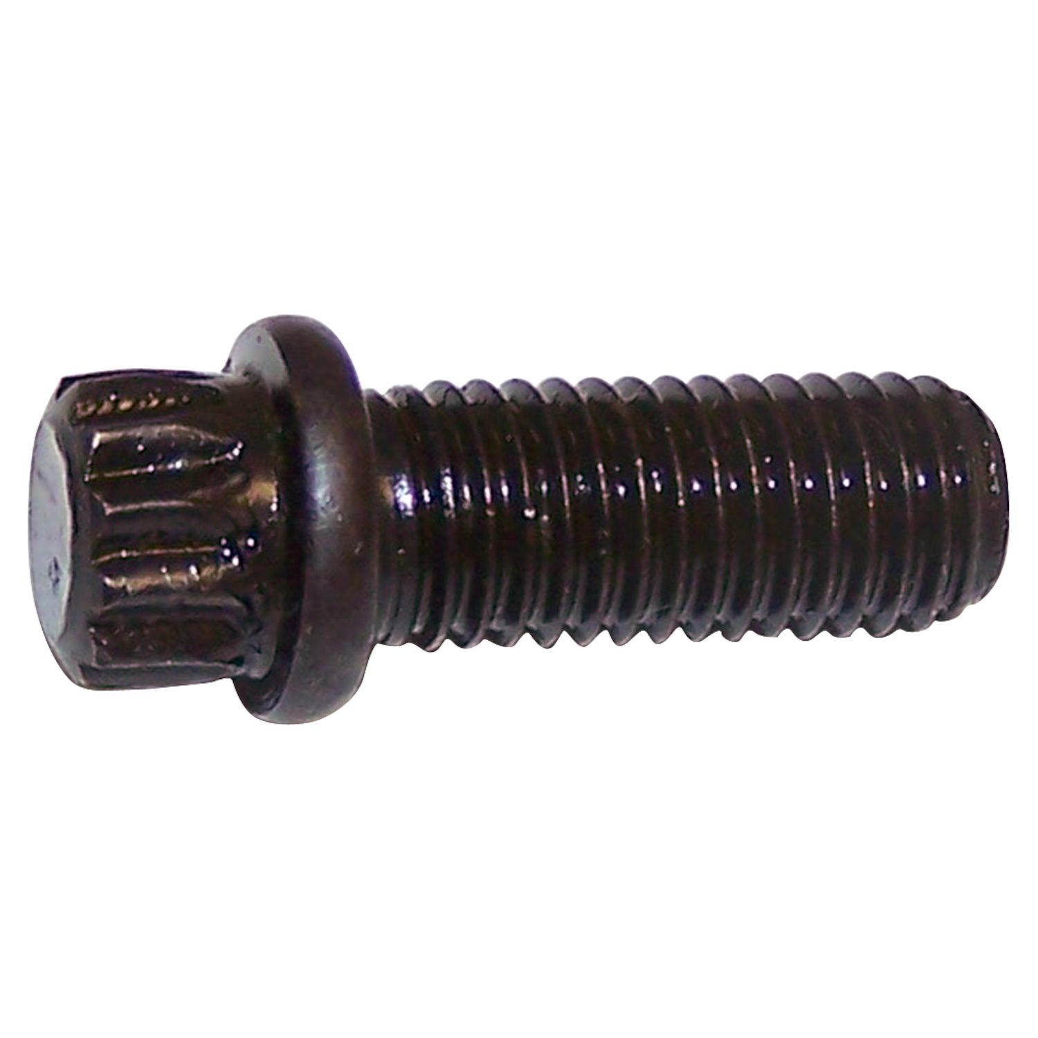 12 PT. BOLT