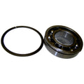 FRNT BEAR T150