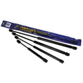 Gas Spring