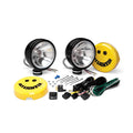 6' Daylighter Halogen - 2-LIGHT Sys