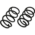Coil Springs