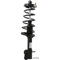 Roadmatic Strut Assembly