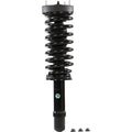 Roadmatic Strut Assembly