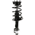 Roadmatic Strut Assembly