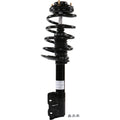 Roadmatic Strut Assembly