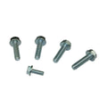Bolt Kit  Oil Pump  5 Bolts  Gm Ls
