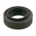 Oil Seal
