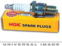 Plug    4/BX