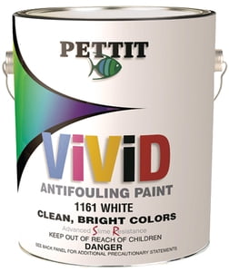 Vivid Blue Qt