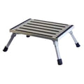 Small Folding Step/Silver