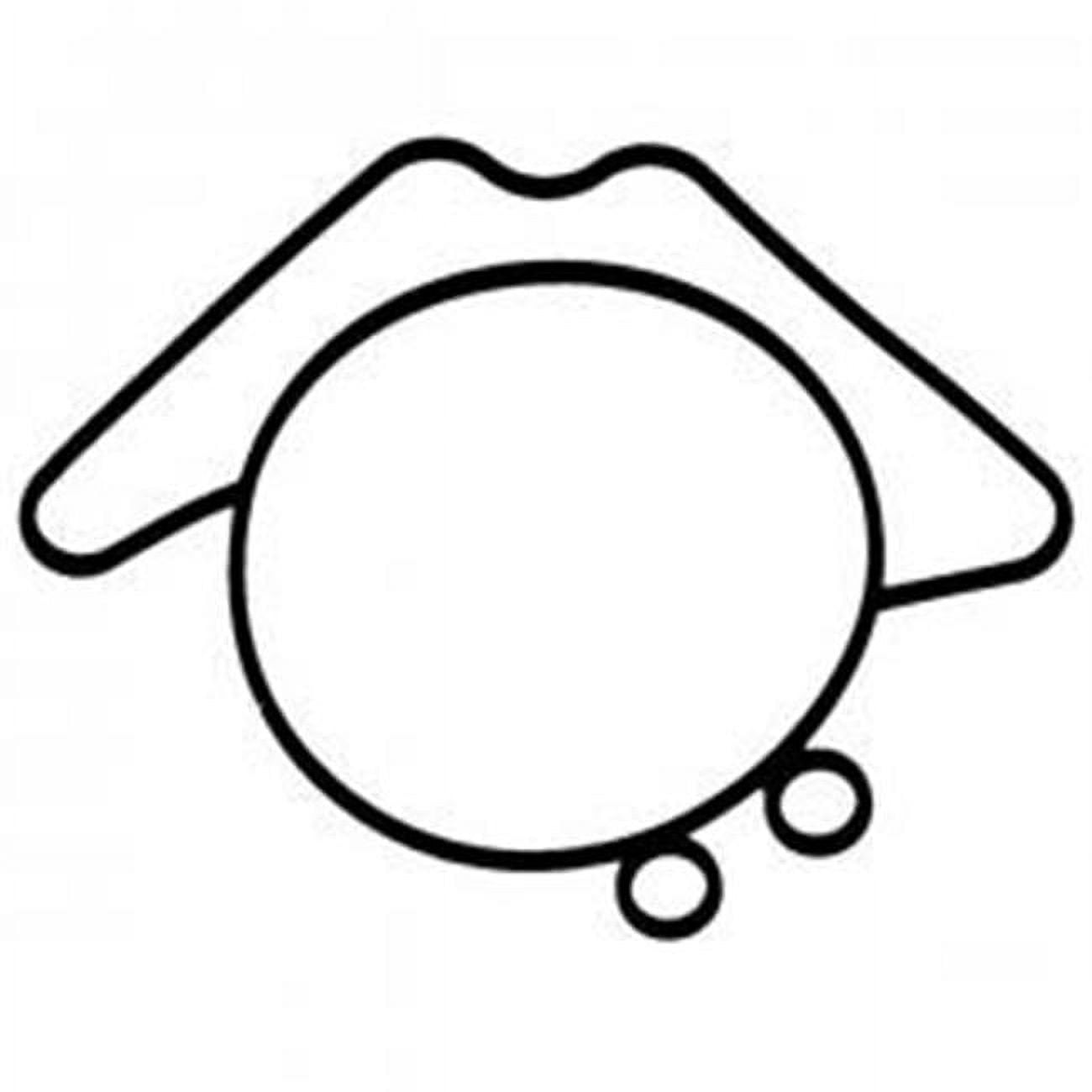 Oil Seal