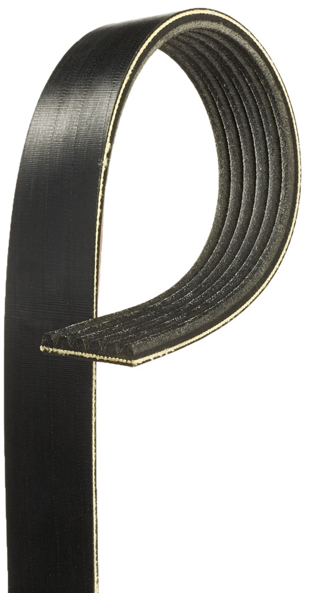 V-Ribbed Belt